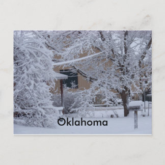 Winterstorm 2010(Oklahoma) Postcard