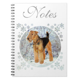 Wintertime Notebook