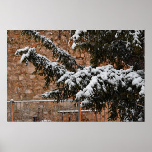 Wintertime , snow on the trees poster