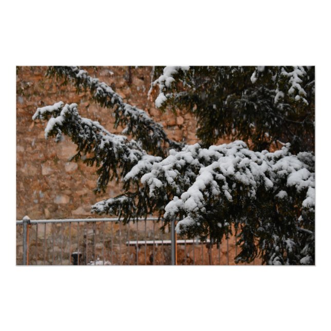 Wintertime , snow on the trees poster (Front)