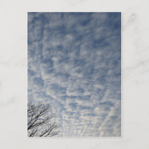 Wintery Clouds Postcard