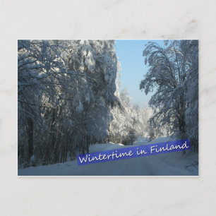 Wintery Country Road Postcard