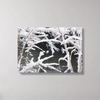 Wintery Stream Wrapped Canvas