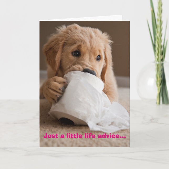 Wipe Well Card (Front)