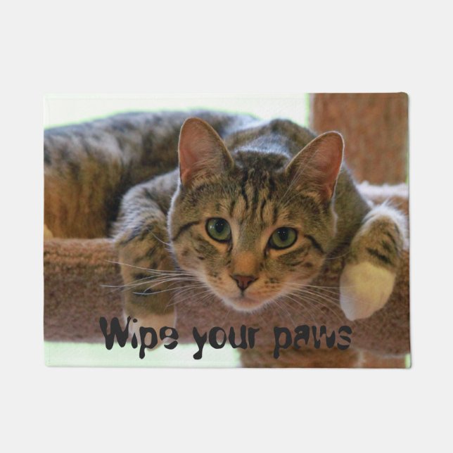 Wipe Your Paws Cat Face Doormat (Front)