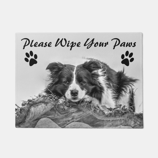 Wipe Your Paws Doormat (Front)