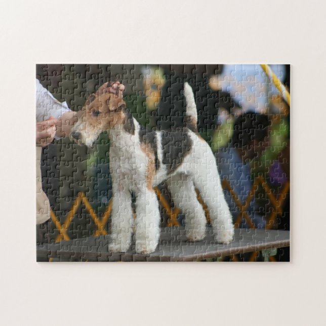 Wire Fox Terrier dog show Jigsaw Puzzle (Horizontal)