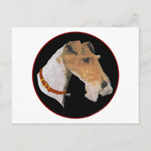 Wire Fox Terrier Head Study Postcard