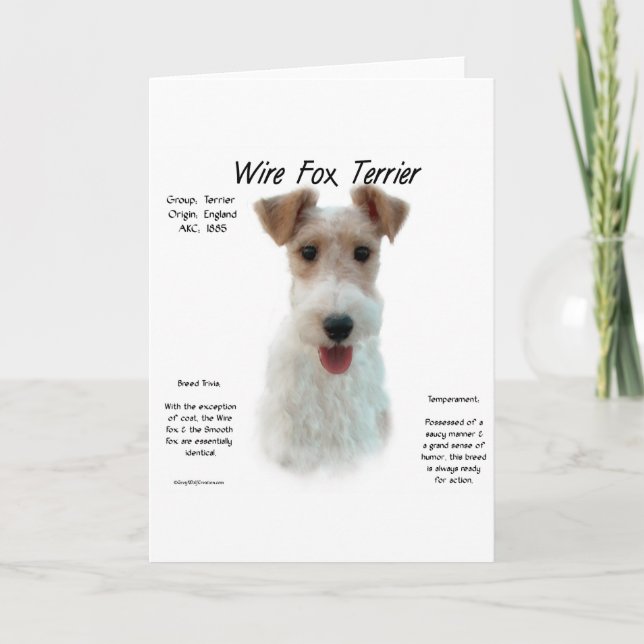 Wire Fox Terrier History; about wire fox terrier Card (Front)