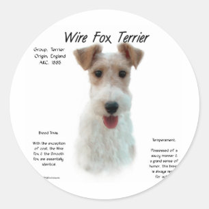 Wire Fox Terrier History; about wire fox terrier Classic Round Sticker