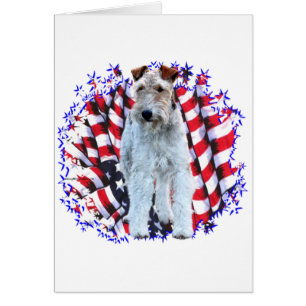 Wire Fox Terrier Patriot