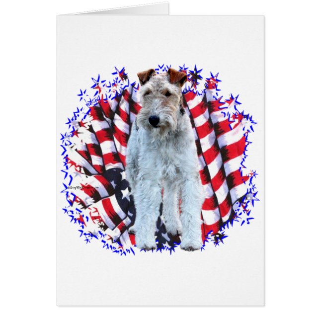 Wire Fox Terrier Patriot (Front)