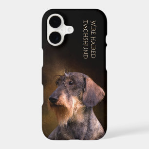 Wire Haired Dachshund Phone Case