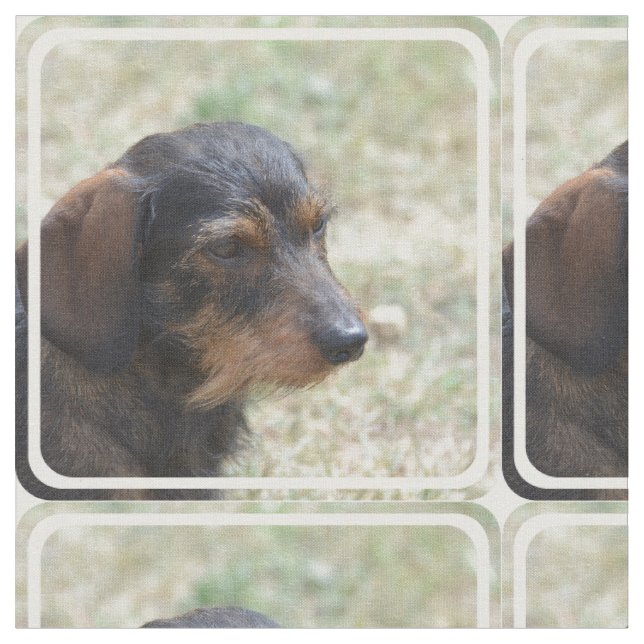 Wire Haired Daschund Dog Fabric (Close Up)