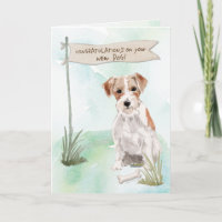 Wire Haired Jack Russell Congrats on New Dog