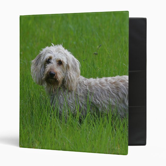 Wire-haired Standard Dachshund in Grass Binder (Front/Inside)