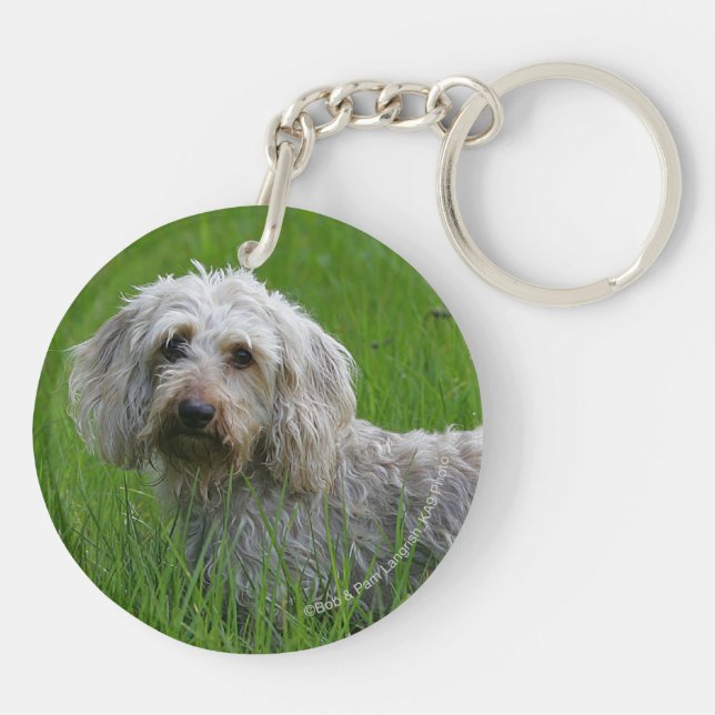 Wire-haired Standard Dachshund in Grass Keychain (Back)