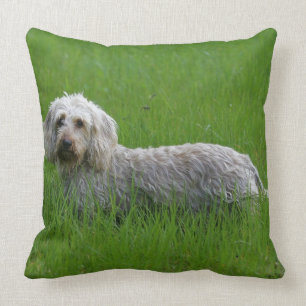 Wire-haired Standard Dachshund in Grass Throw Pillow