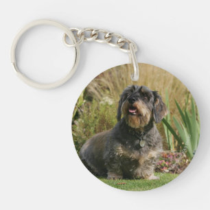 Wire-haired Standard Dachshund Keychain