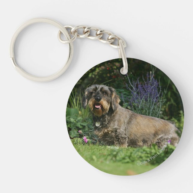 Wire-haired Standard Dachshund Sitting Keychain (Front)