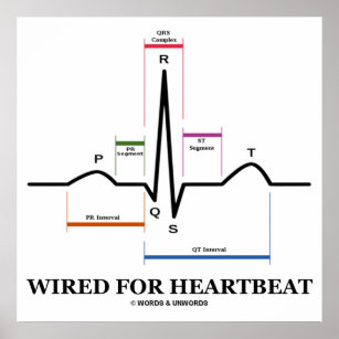 Wired For Heartbeat (ECG / EKG) Electrocardiogram Poster