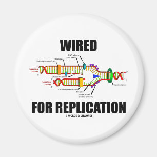 Wired For Replication (DNA Replication) Magnet
