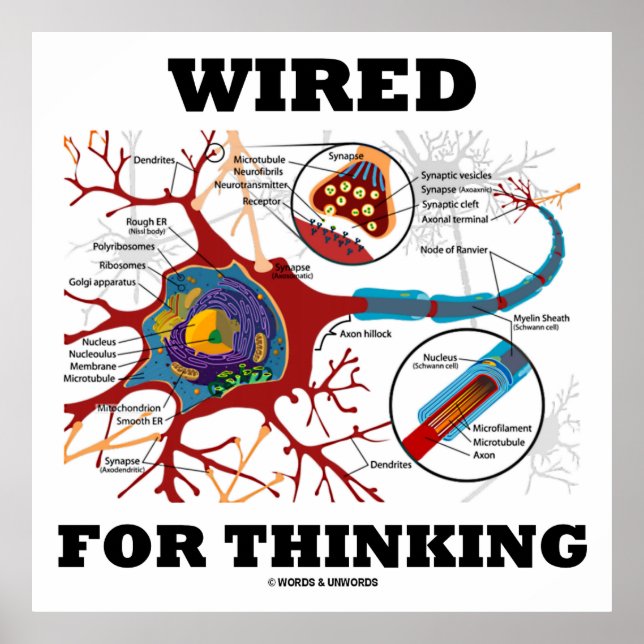Wired For Thinking (Neuron Synapse) Poster (Front)