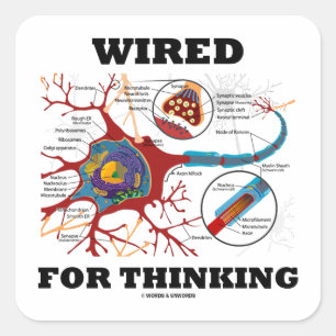 Wired For Thinking (Neuron Synapse) Square Sticker