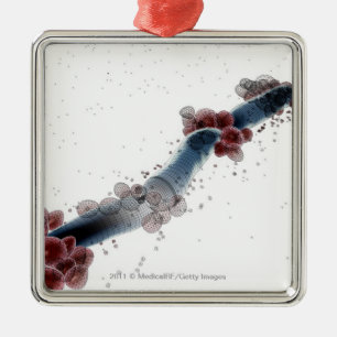 Wireframe microscopic view of candida albicans metal ornament