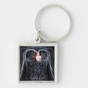 Wireframe of the blood vessels in the upper body keychain