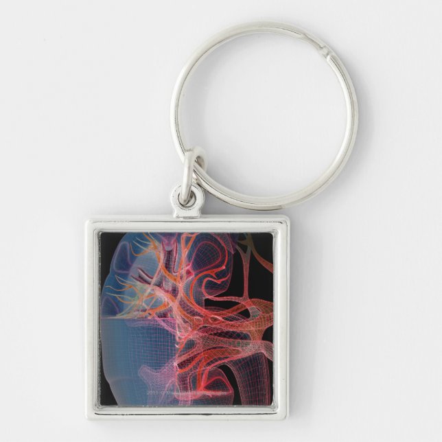 Wireframe of the inside of a kidney keychain (Front)
