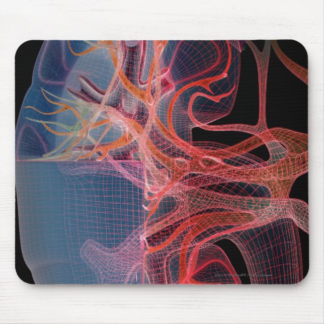 Wireframe of the inside of a kidney mouse pad (Front)