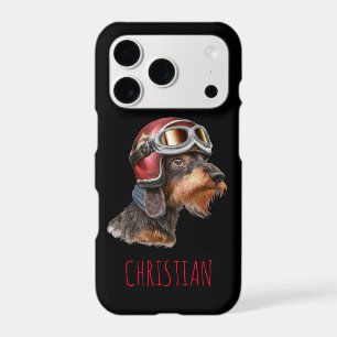 Wirehair Dachshund Dog with Biker Helmet