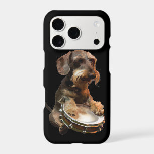 Wirehair Dachshund Playing Drums
