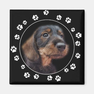 Wirehair Dachshund Puppy Paw Prints Keychain Magnet