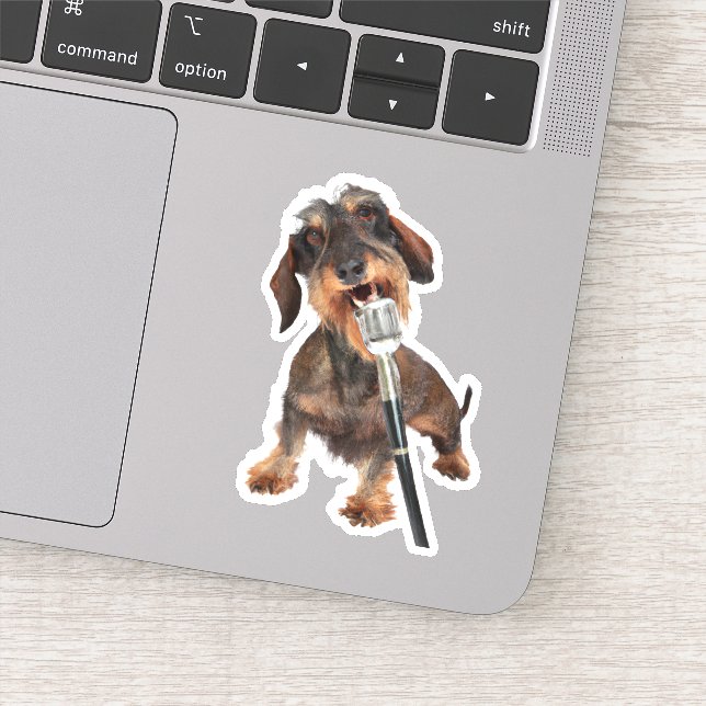 Wirehair Dachshund Singing (Detail)