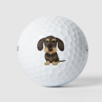 Wirehaired Dachshund | Cute Cartoon Dog Teckel