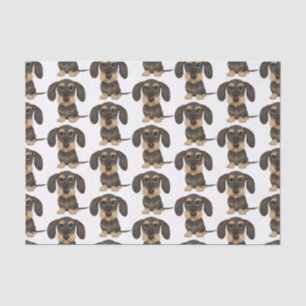 Wirehaired Dachshund   Cute Teckel Dog Patterned Tissue Paper