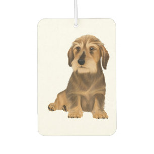 Wirehaired Dachshund Sitting Dog Air Freshener