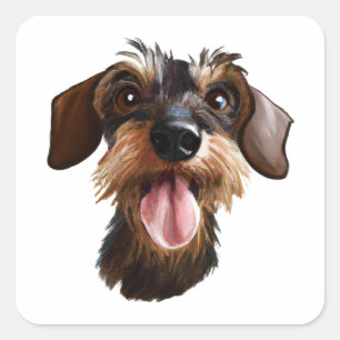 Wirehaired Dachshund Square Sticker