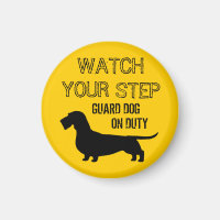 Wirehaired Dachshund Watch Your Step