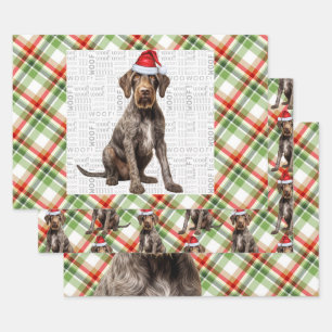 Wirehaired Pointer Christmas Dog Red Green Plaid Wrapping Paper Sheet