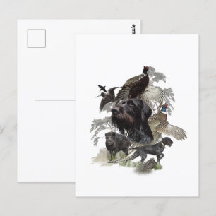 Wirehaired Pointer , Outdoors Hunting Postcard