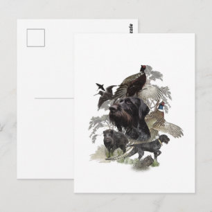 Wirehaired Pointer ,  Outdoors Hunting Postcard