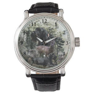 Wirehaired Pointer , Outdoors Hunting Watch