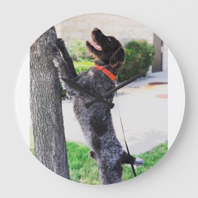 Wirehaired Pointing Griffon Clock (Front)