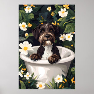 Wirehaired Pointing Griffon In Bathtub Poster