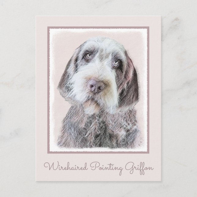Wirehaired Pointing Griffon Painting - Dog Art Postcard (Front)