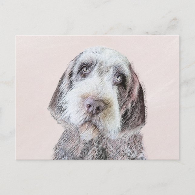 Wirehaired Pointing Griffon Painting - Dog Art Postcard (Front)