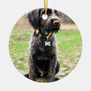 Wirehaired pointing Griffon puppy Ceramic Ornament